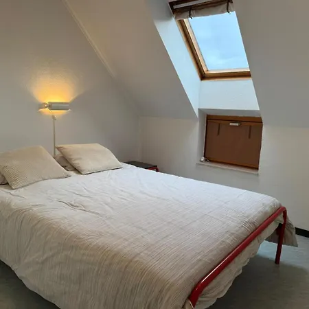 Colibri 9 Apartament *